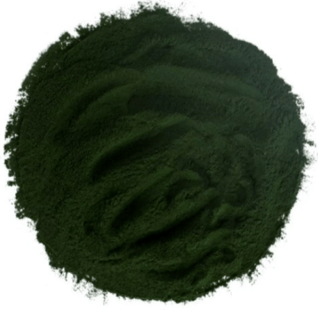 Spirulina is one of the main ingredients of Matcha Slim