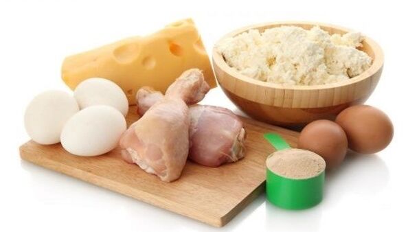 Protein food for the diet